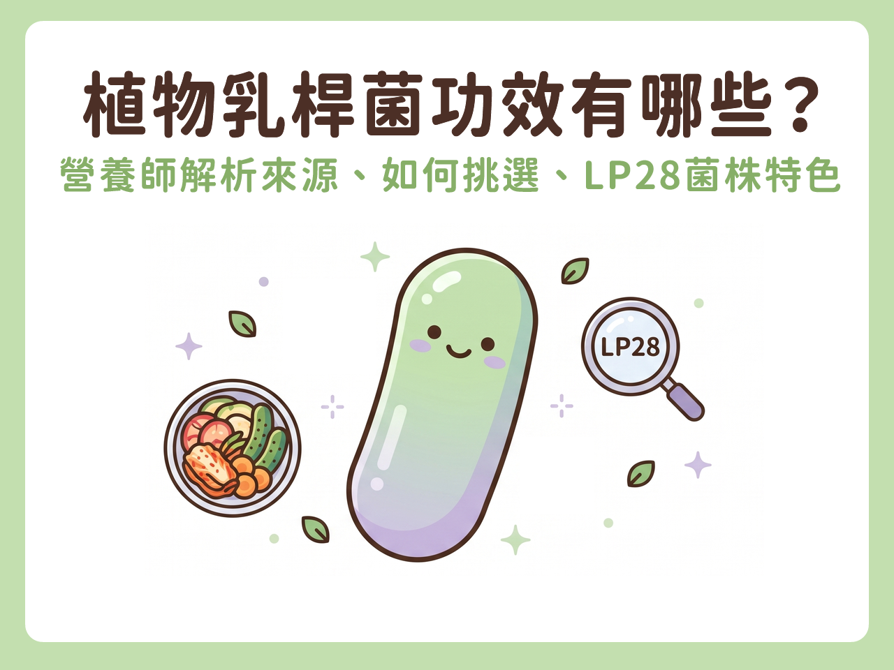 植物乳桿菌功效有哪些？營養師解析食物來源、如何挑選、LP28菌株特色